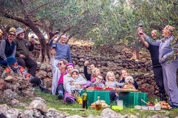 A joyful family gathering in an olive grove enjoying a picnic with wine toasts.